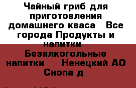 Чайный гриб для приготовления домашнего кваса - Все города Продукты и напитки » Безалкогольные напитки   . Ненецкий АО,Снопа д.